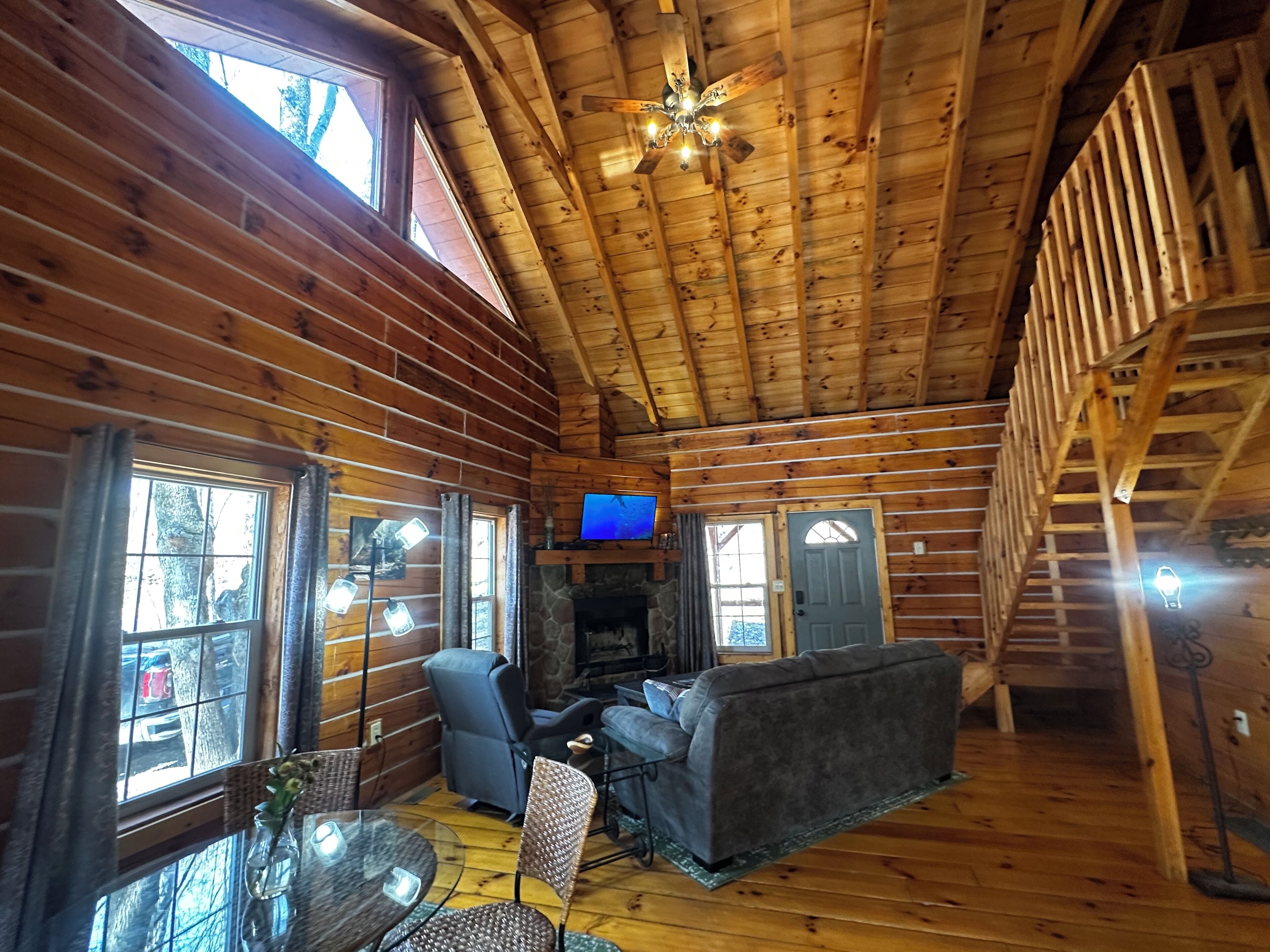 TV, fireplace