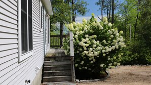 Et hus med en trætrap op til en veranda, omgivet af træer og en busk med hvide blomster.