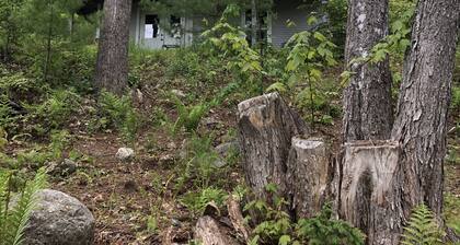 Coveside - 3 bed 2 bath Oceanview in Surry, Maine near Acadia Natl Park