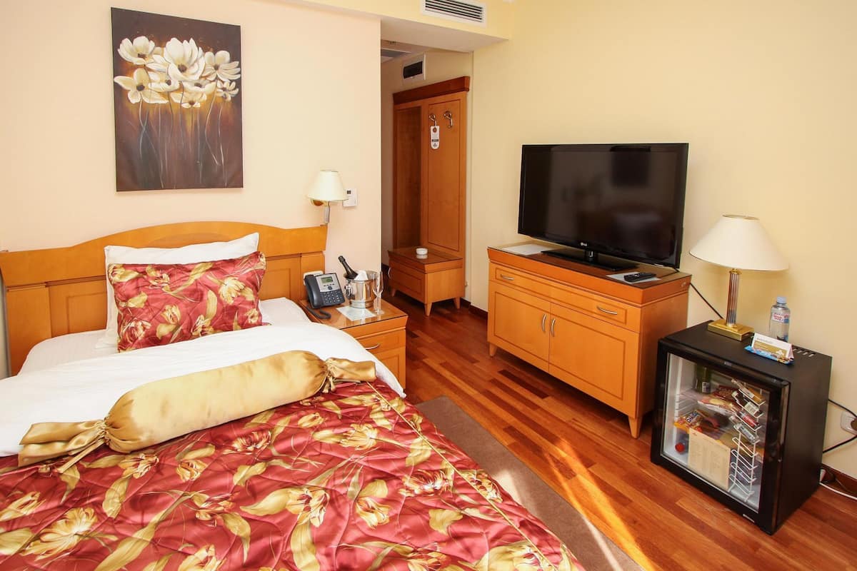 Single Room | Minibar, in-room safe, desk, laptop workspace