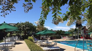 A poolside area with lounge chairs, umbrellas, and a diving board. - 4-bedroom 4.5 bath Home in Bear Trap Golf Resort-- 3 minutes from Bethany Beach (Ocean View)