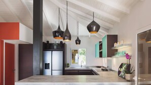Een moderne keuken met een centraal eiland, roestvrijstalen apparatuur, hangende verlichting en uitzicht op de omgeving.