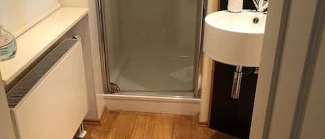 A bathroom with a glass shower enclosure, a white sink, and a wooden floor.