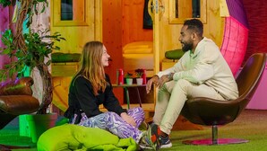 A cozy wooden cabin with a curved roof, a green artificial grass floor, and a potted plant. - Outside Inn (Amsterdam-Duivendrecht)