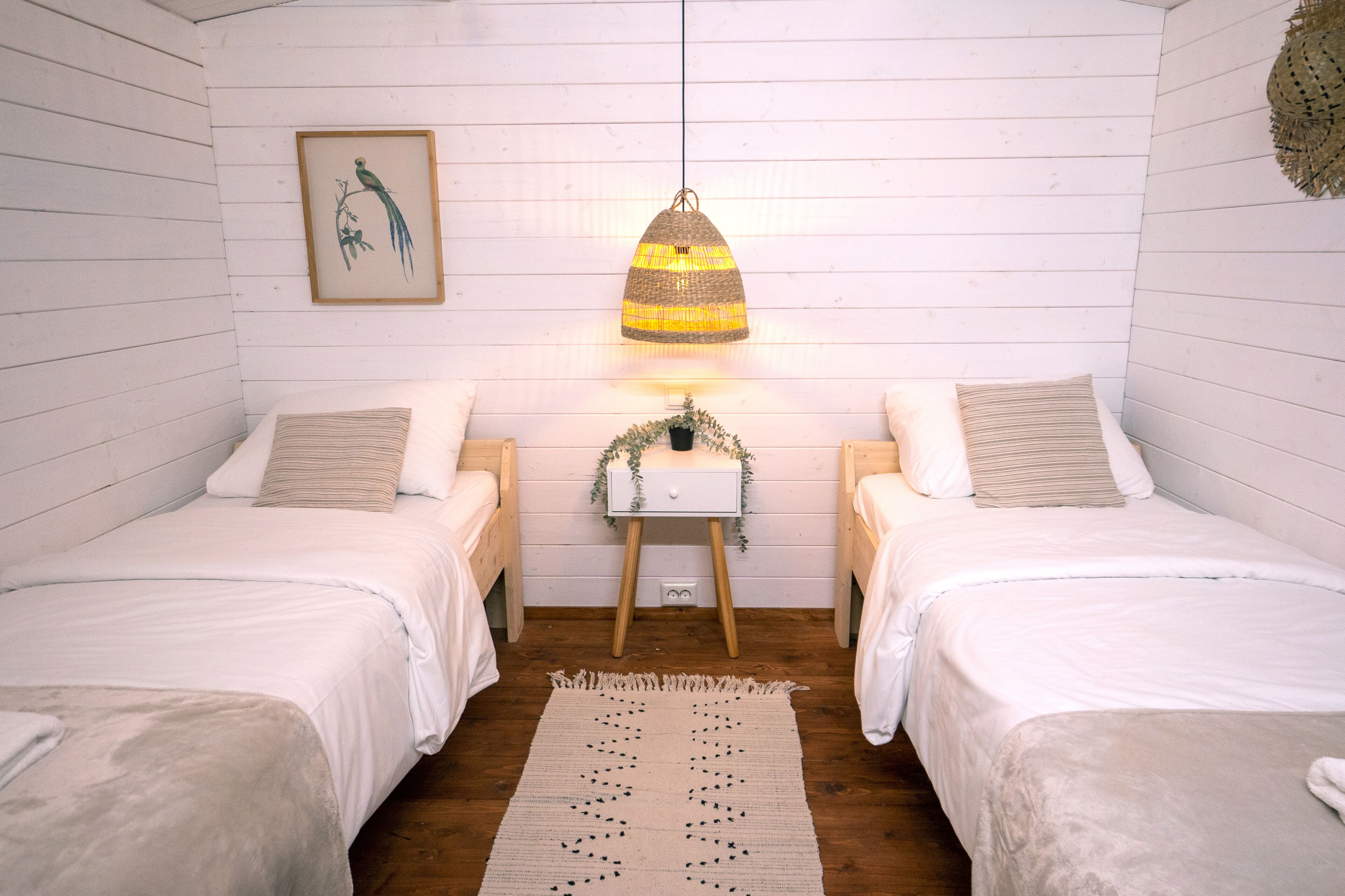 A room with two single beds, a hanging lamp, a small table with a plant, and a framed picture on the wall.