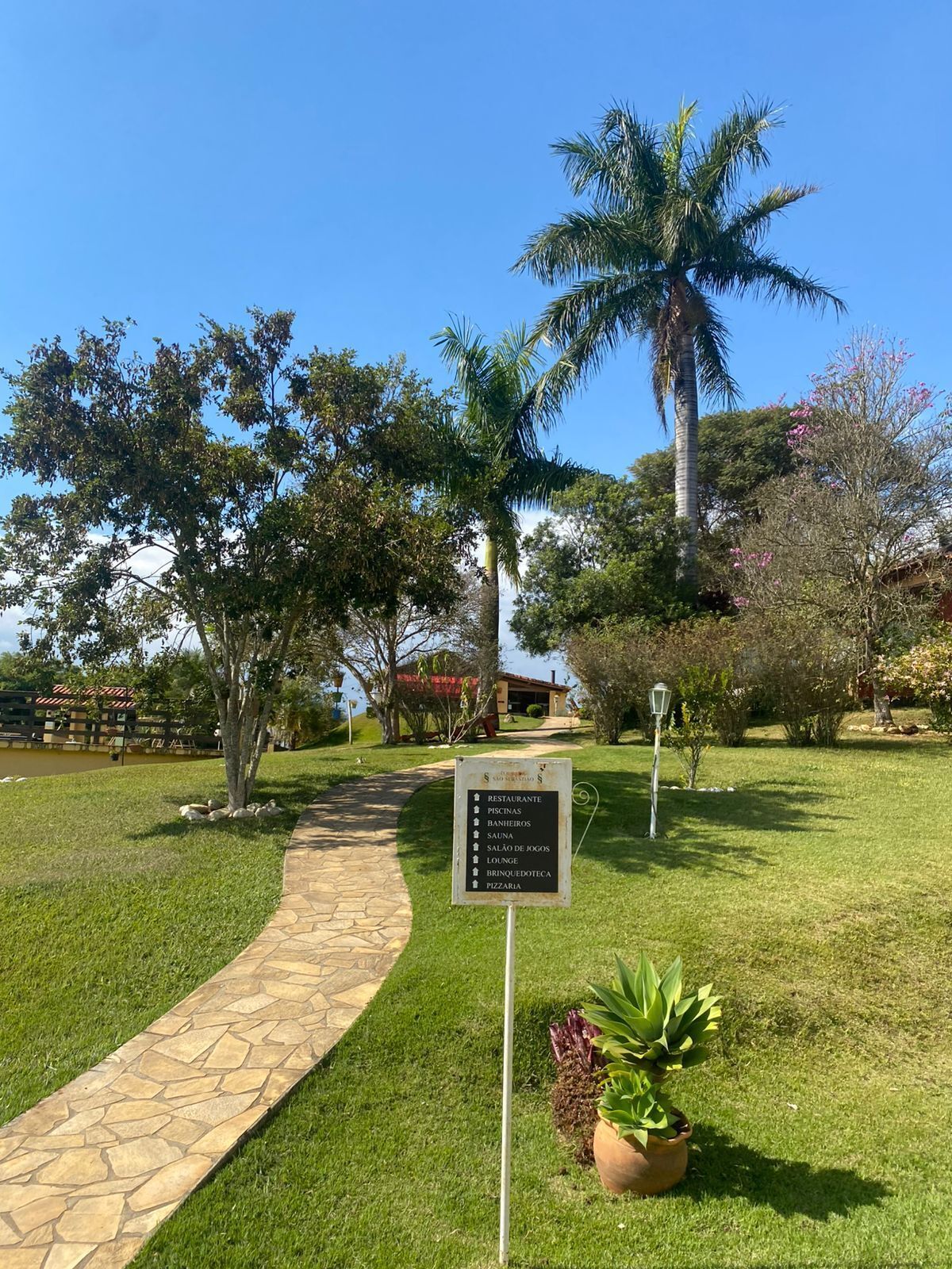 TV LED 32 polegadas com canais a cabo, TV, brinquedos