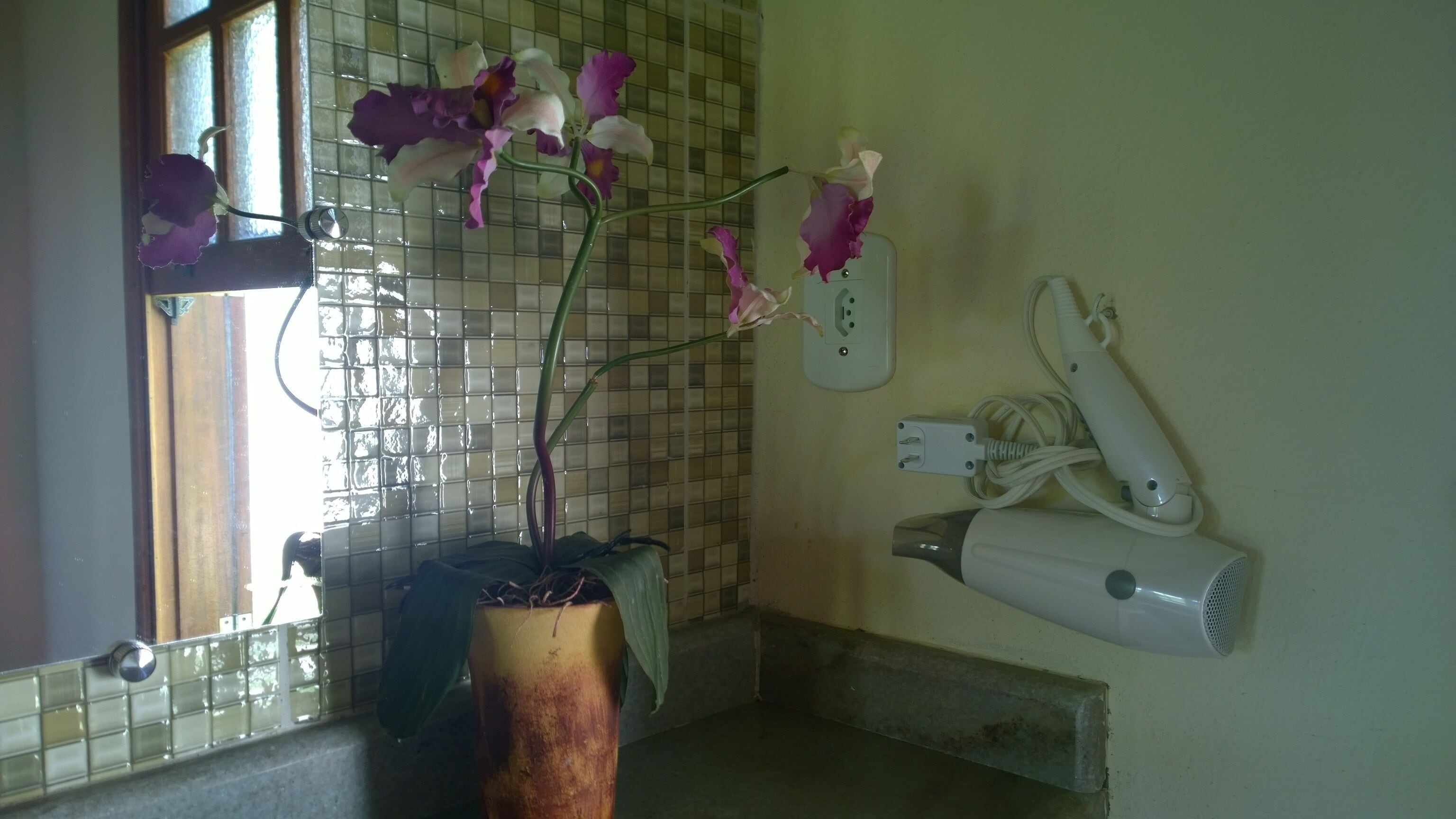 Un baño con una orquídea en maceta, un secador de pelo y un muro de azulejos.