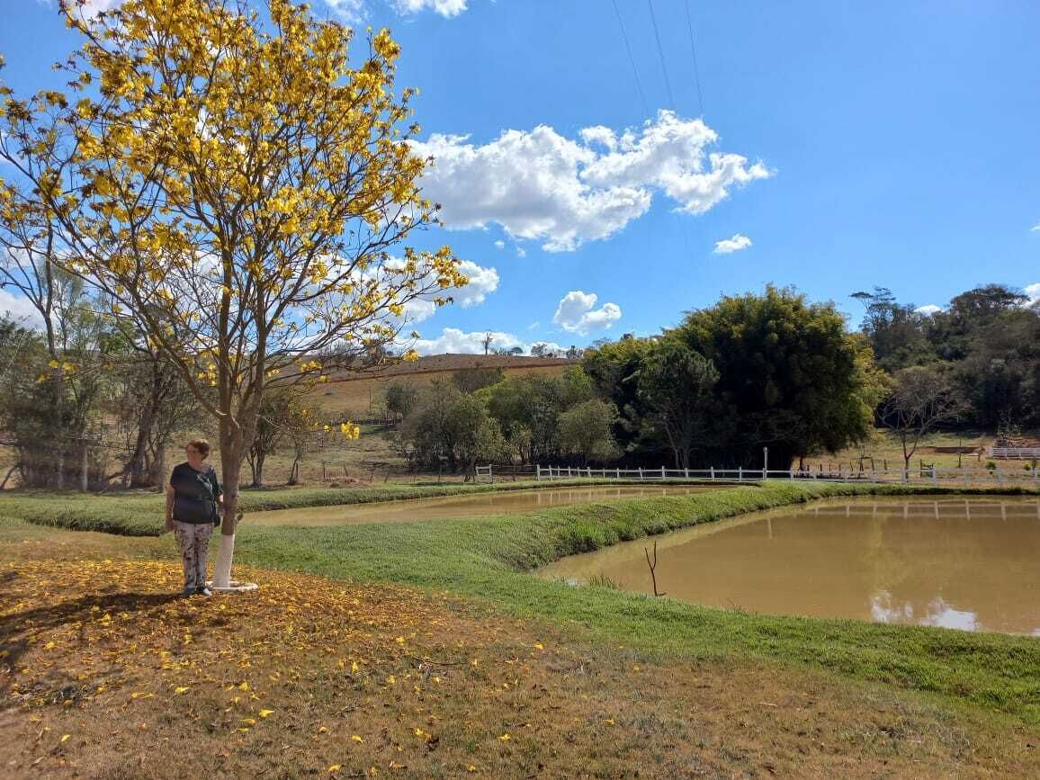 A park with a pond, trees, and a person standing by a tree.