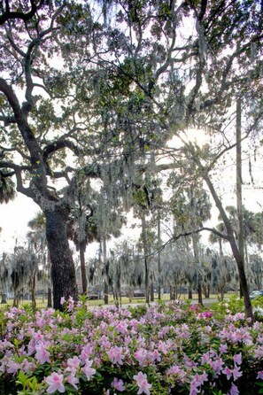 未分類的圖片,第 5 張,共 61 張,按鈕