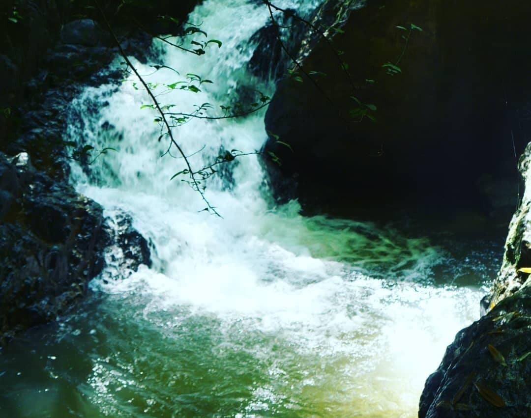Hiking