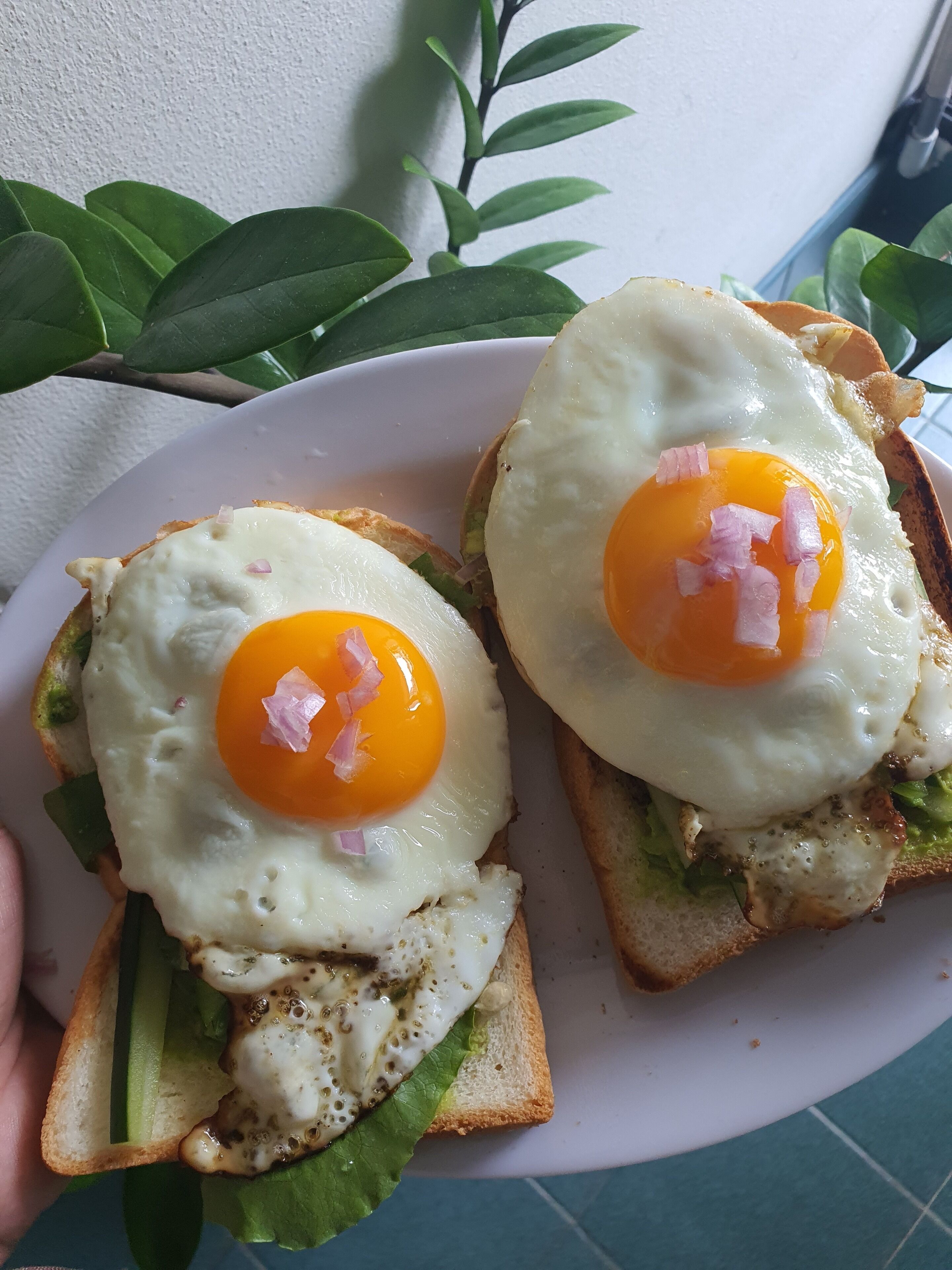 Daily cooked-to-order breakfast for a fee