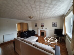 Flat-screen TV
