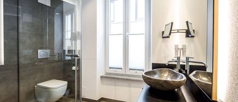 A modern bathroom with a glass-enclosed shower, a white toilet, a large mirror, and a stone sink.
