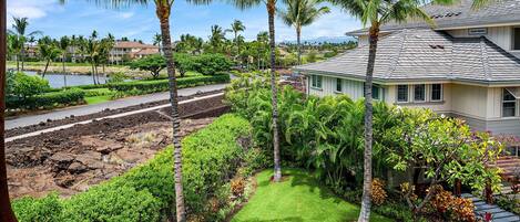A residential area with a well-maintained lawn, palm trees, and a view of a body of water.