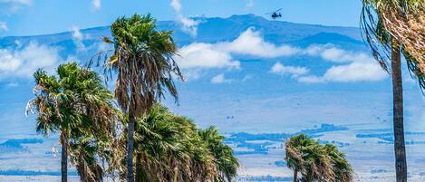 A view of a mountainous landscape with palm trees in the foreground and a helicopter in the sky.