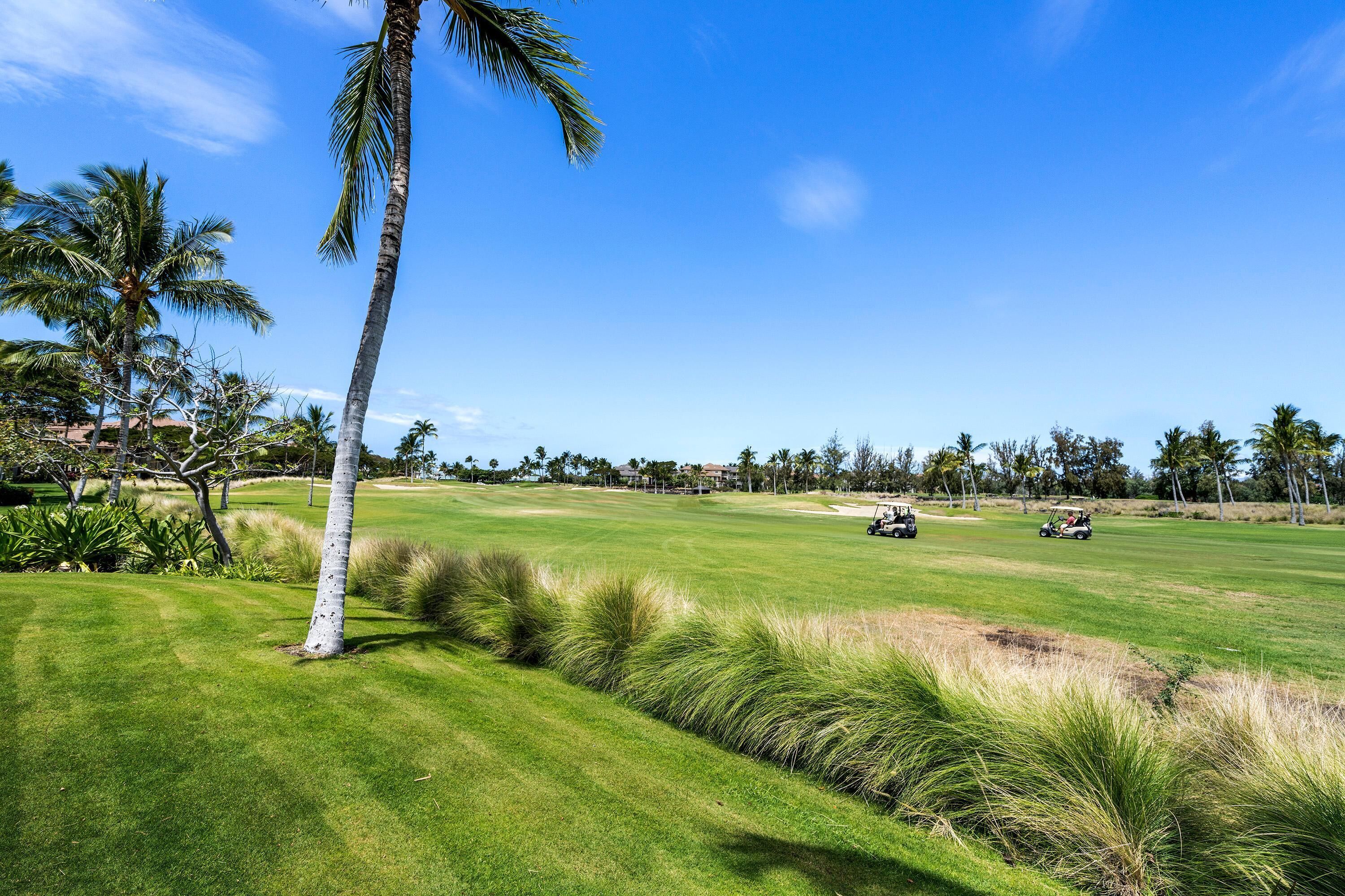 A golf course with a clear sky, palm trees, and a well-maintained lawn.