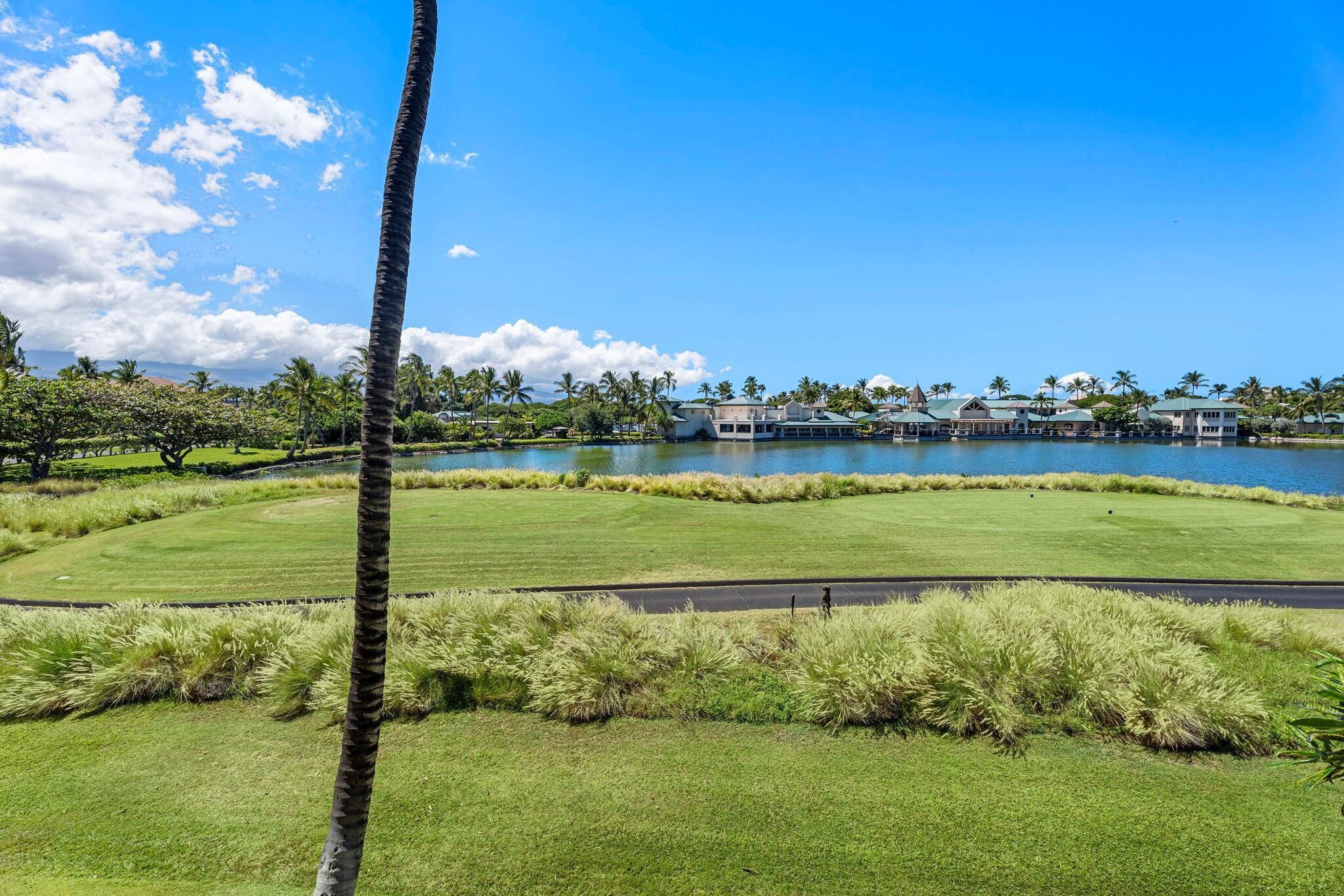 Campo de golf con un estanque, palmeras y un conjunto de edificios al fondo.