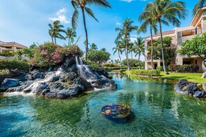 公寓客房, 多張床 (Shores at Waikoloa 234 at Bo Tree Tow) | 游泳池 | 室外游泳池