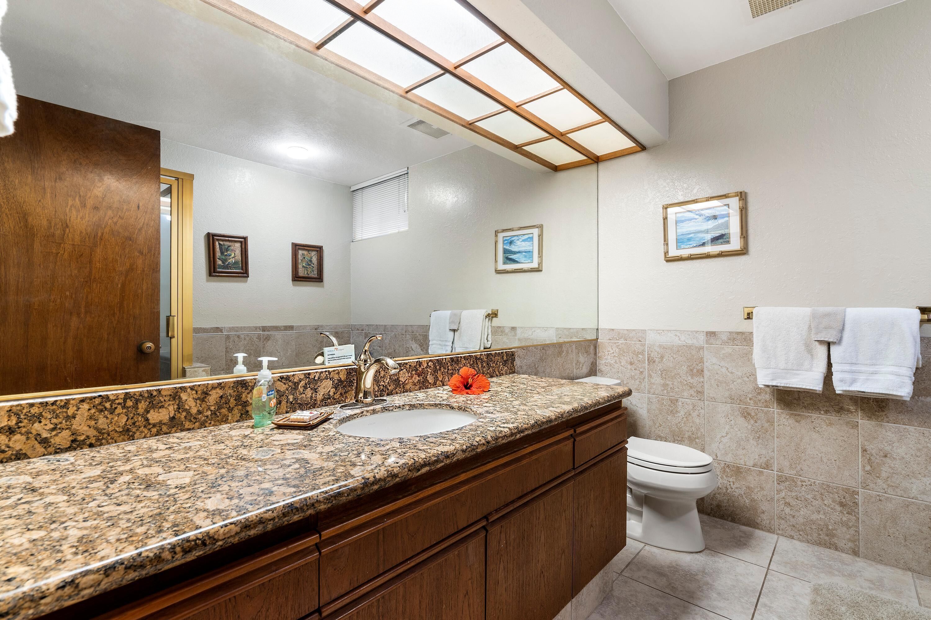 Une salle de bain avec un comptoir en granit, un lavabo, des toilettes et un grand miroir.
