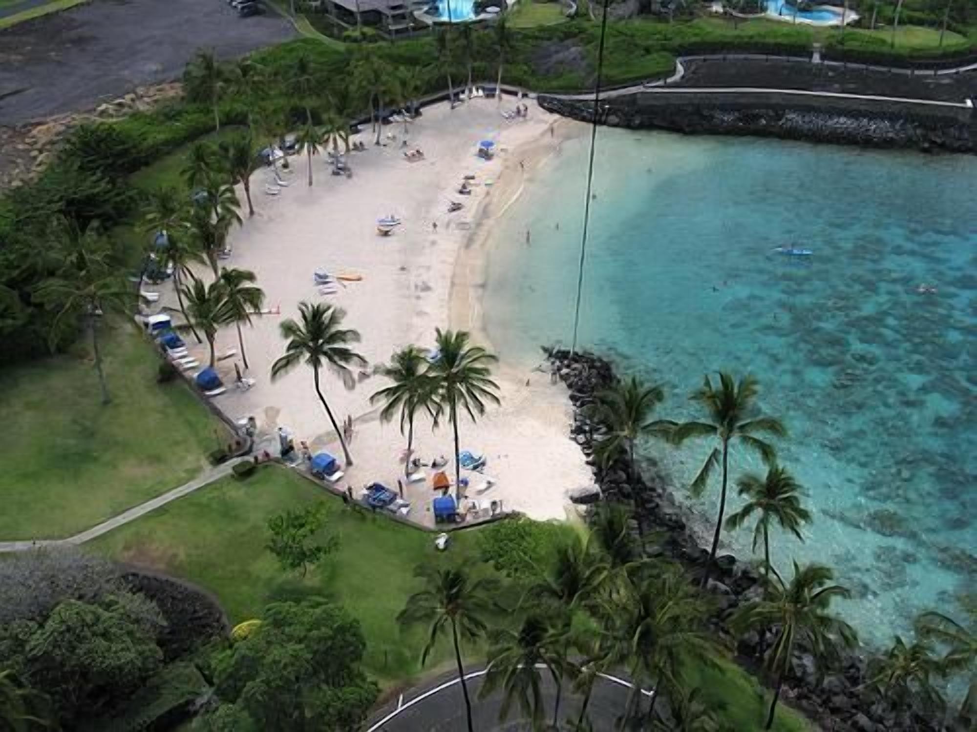 An aerial view of a beach with a row of palm trees, a sandy shore, and a clear blue sea.