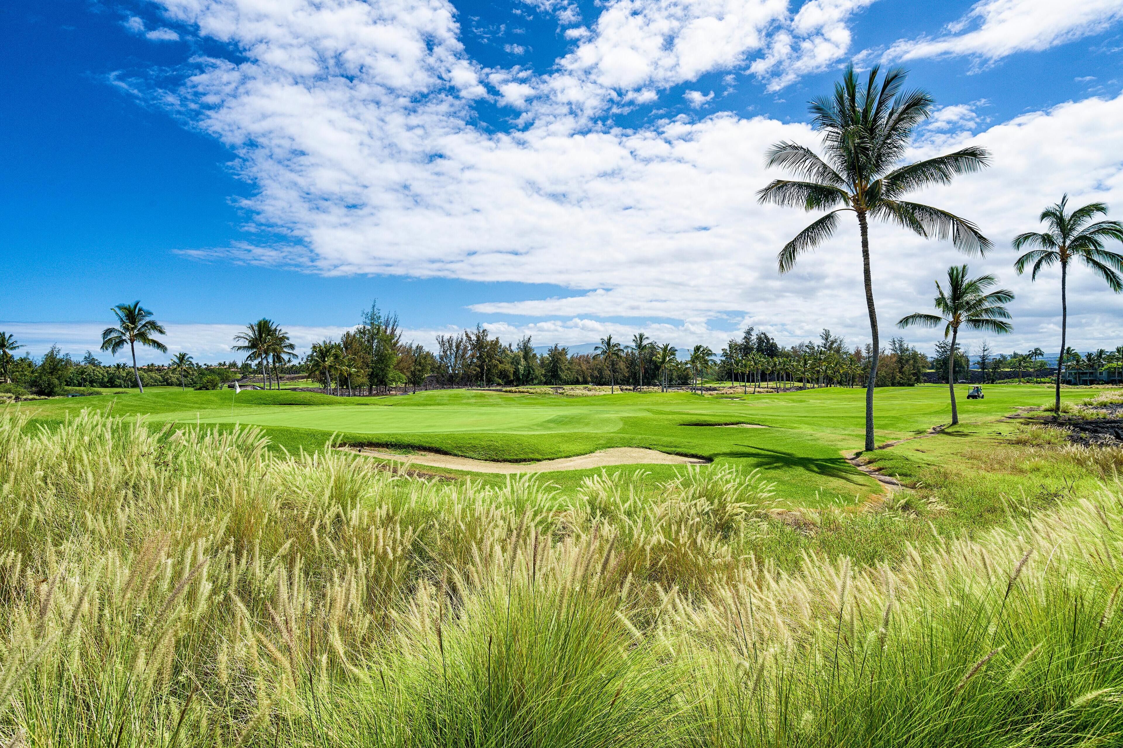 Condo, 1 King Bed, Golf View (Waikoloa Beach Villas G2) | Golf