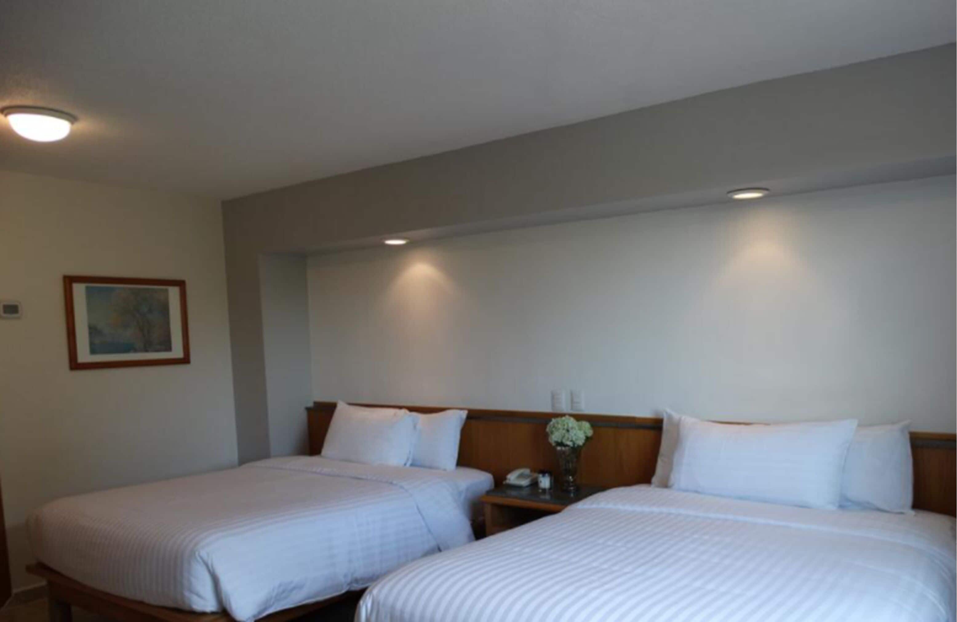 Foto - Hotel Amberes