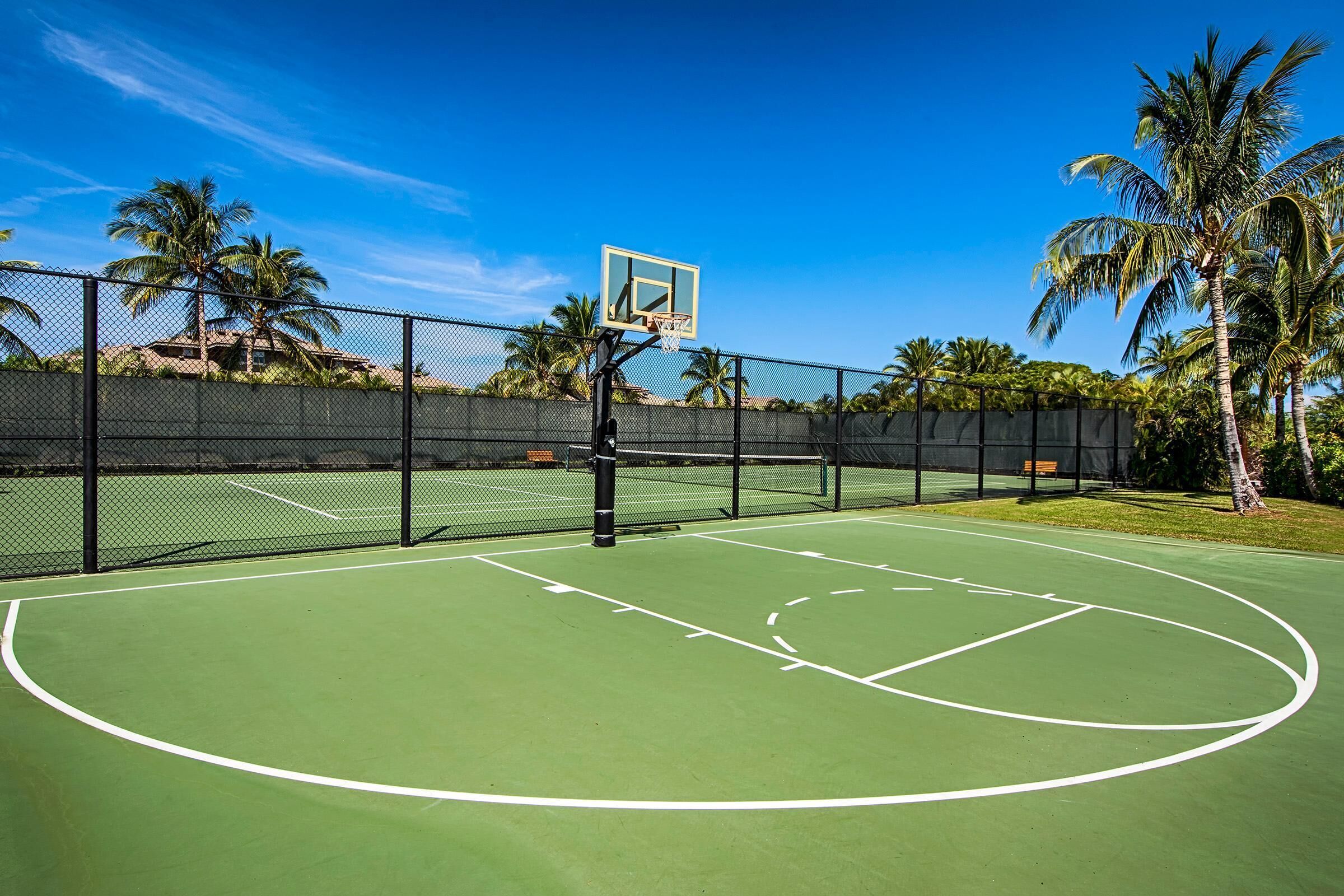Quadra de basquete ao ar livre com cercas de arame, palmeiras e um céu azul límpido.