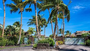 Rumah, 1 Tempat Tidur King dengan tempat tidur Sofa, pemandangan kebun (Halii Kai at Waikoloa 2B) | Halaman properti