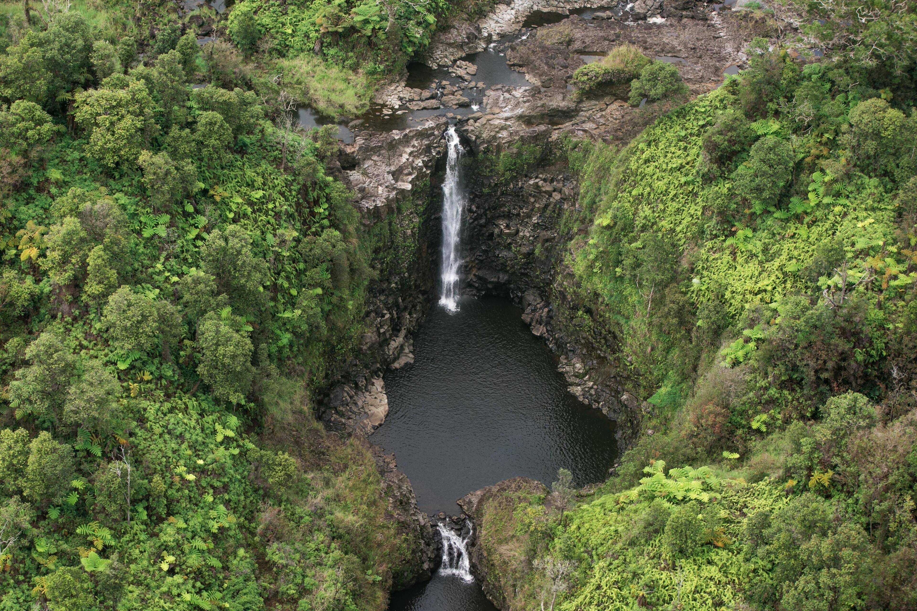 A waterfall surrounded by dense green forest.