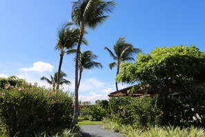 Condo, Multiple Beds (Waikoloa Beach Villas B22) | Property grounds
