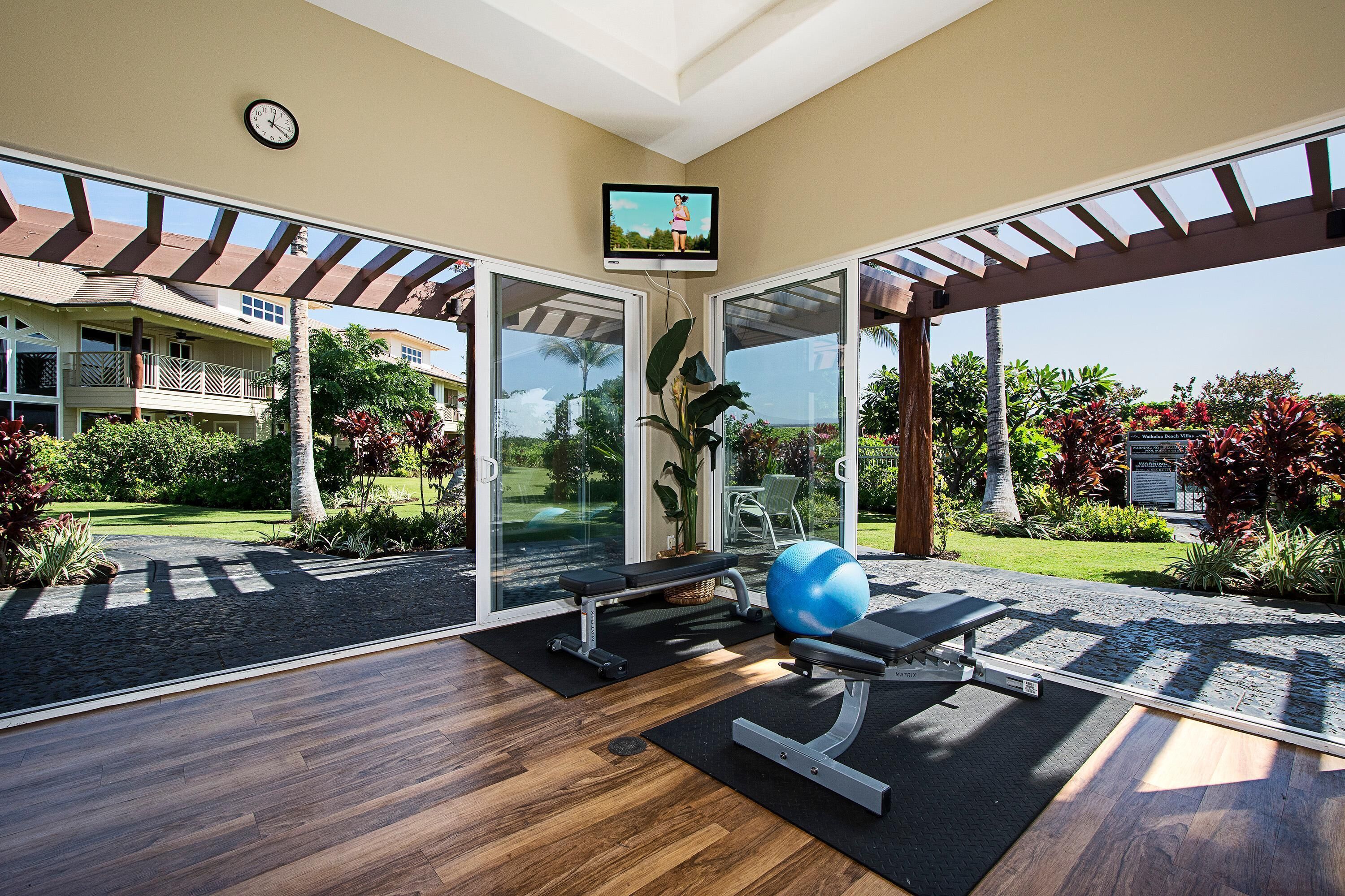 A modern gym with exercise equipment, a television, and a view of a lush garden and building.