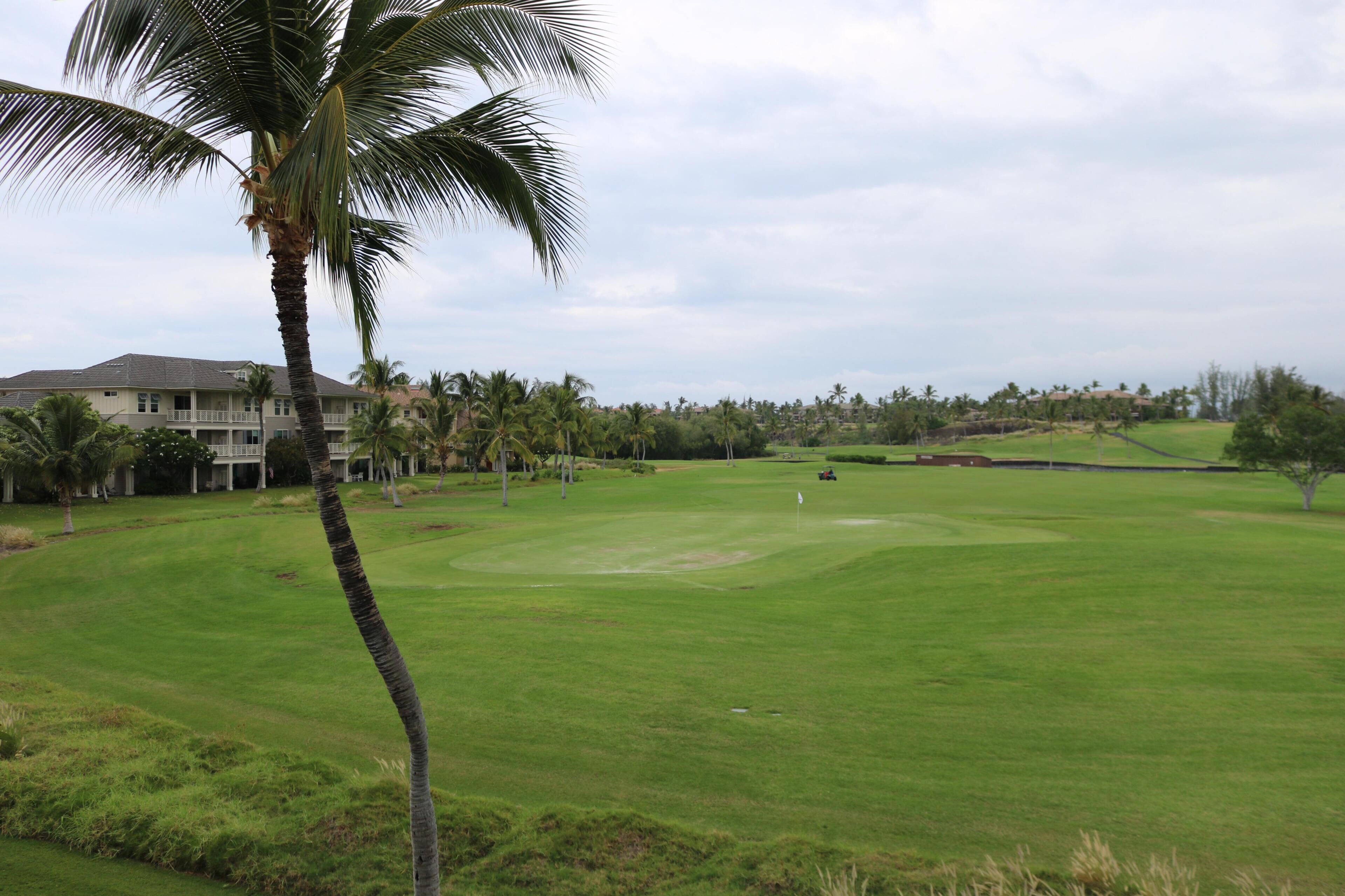Ein Golfplatz mit einem großen Haus im Hintergrund.