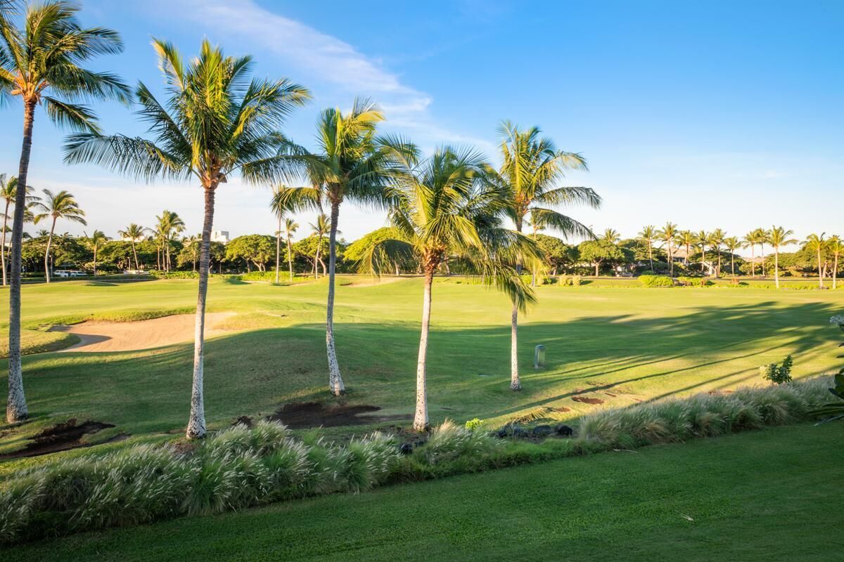 A golf course with palm trees, a well-maintained green, and a clear sky.