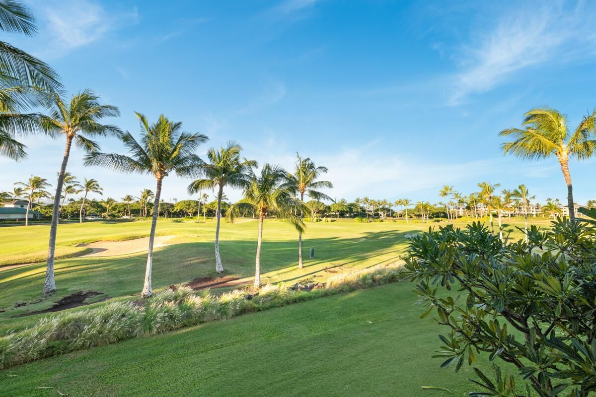 A golf course with palm trees and a clear sky.