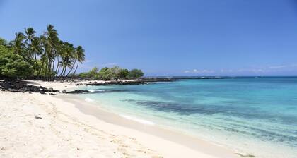 Ainamalu at Waikoloa Beach Resort