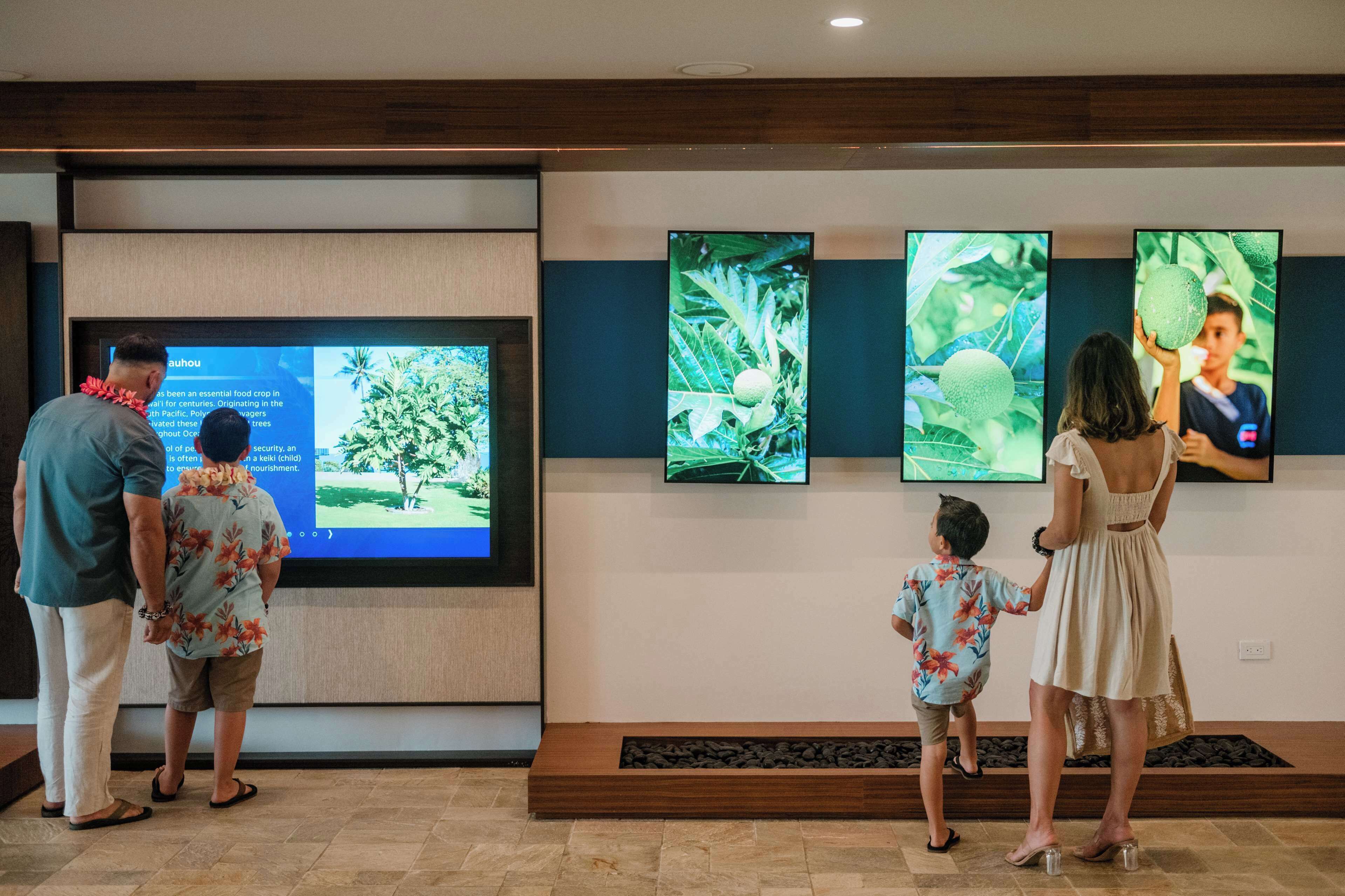 Une famille regarde un écran numérique affichant des images de plantes tropicales.