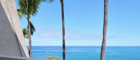 A balcony with a view of the ocean and palm trees.