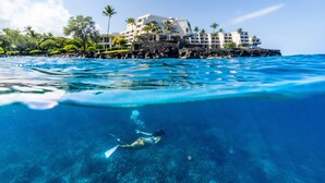 A diver underwater with a hotel and tropical vegetation in the background.
