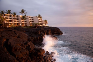 Un hotel frente a la playa con varios balcones, palmeras y una costa rocosa.