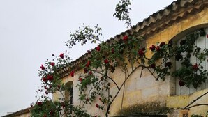 A building with a stone facade, a white door, and a garden area with gravel and greenery. - Domaine du chauvet (Ambares-et-Lagrave)