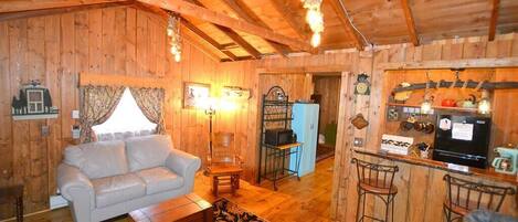 TV, DVD player, books