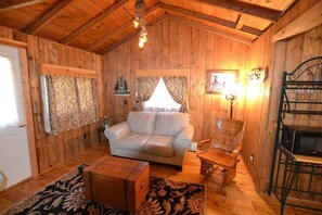 TV, DVD player, books