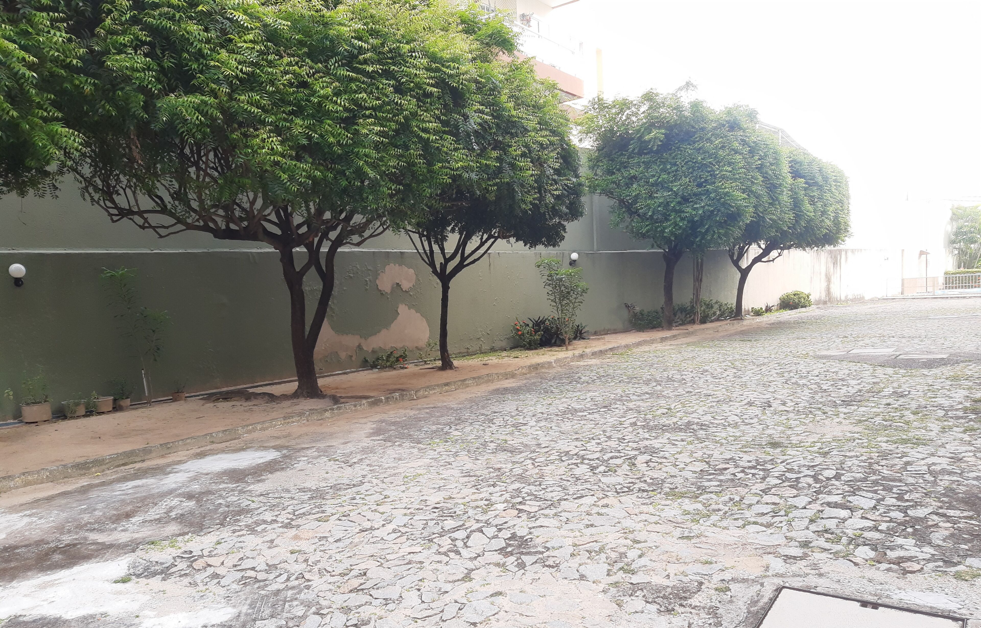 Área da propriedade