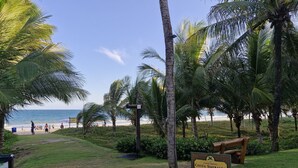 A grassy area with palm trees and a beach in the background. There is a sign for 'Condomínio Costaomerald' and a wooden bench. - ⭐🌴 House in Guarajuba, 3 Bedrooms with Pool, 150m from the Sea (Guarajuba)
