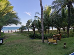 Perto da praia, espreguiçadeiras 