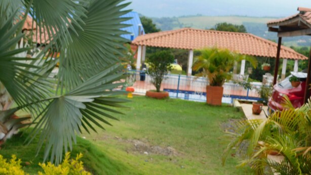 A garden with a palm tree, a tiled roof structure, and a grassy area.
