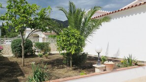 Stroll through the serene garden, surrounded by lush greenery and a majestic palm tree.