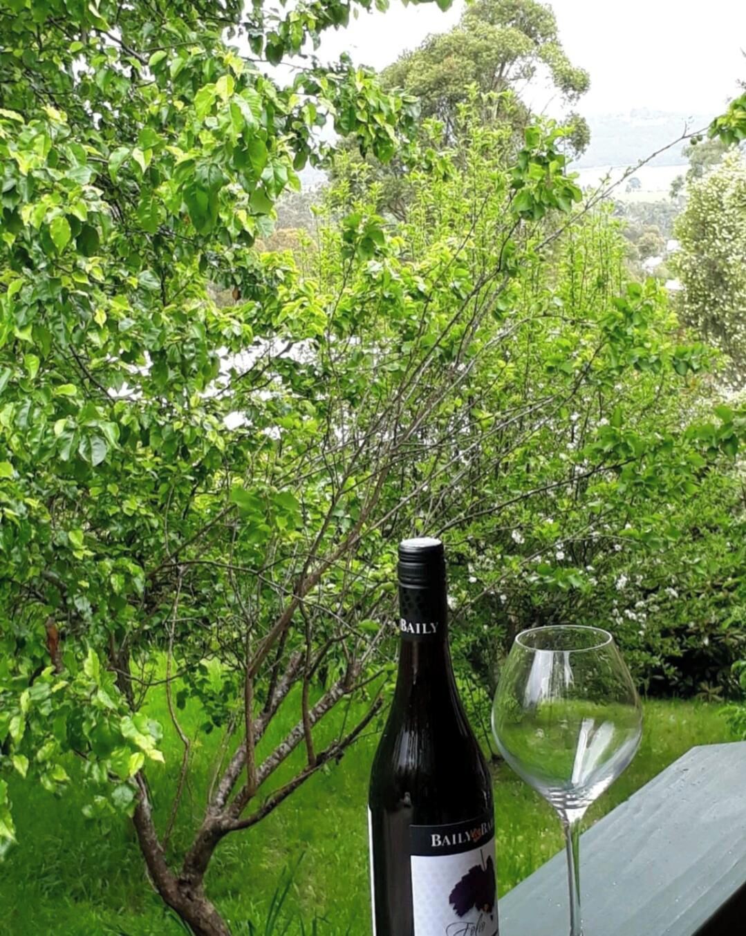 A bottle of Bailly wine and a wine glass on a table with a view of a lush green garden and trees.