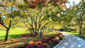 Un sentier pavé dans un parc, bordé d’arbres et de parterres de fleurs aux couleurs vives.