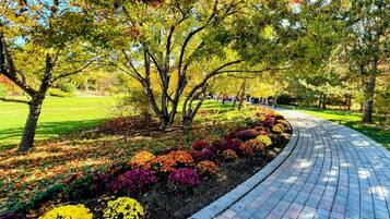 Terrein van de accommodatie